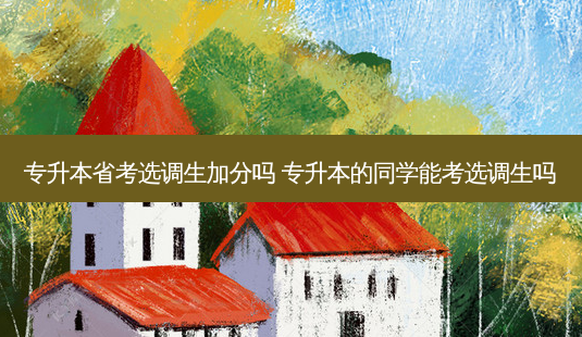 专升本省考选调生加分吗 专升本的同学能考选调生吗-第1张图片-天智网 专升本省考选调生加分吗 专升本的同学能考选调生吗-第1张图片-天智网