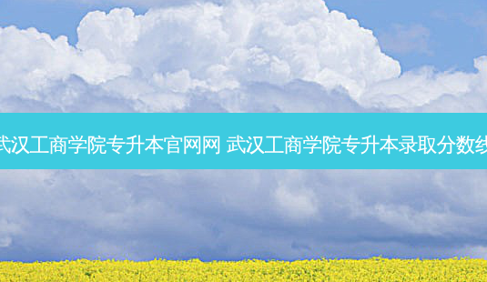 武汉工商学院专升本官网网 武汉工商学院专升本录取分数线-第1张图片-天智网 武汉工商学院专升本官网网 武汉工商学院专升本录取分数线-第1张图片-天智网