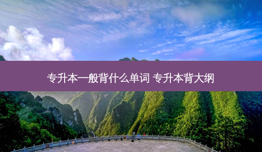 专升本一般背什么单词 专升本背大纲-第1张图片-天智网 专升本一般背什么单词 专升本背大纲-第1张图片-天智网