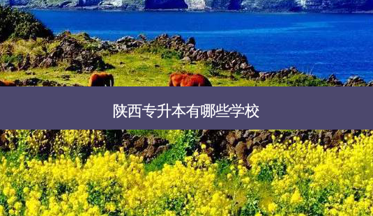 陕西专升本有哪些学校-第1张图片-天智网 陕西专升本有哪些学校-第1张图片-天智网