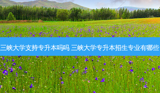 三峡大学支持专升本吗吗 三峡大学专升本招生专业有哪些-第1张图片-天智网 三峡大学支持专升本吗吗 三峡大学专升本招生专业有哪些-第1张图片-天智网