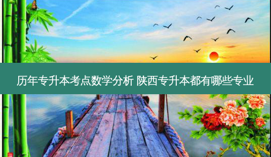 历年专升本考点数学分析 陕西专升本都有哪些专业-第1张图片-天智网 历年专升本考点数学分析 陕西专升本都有哪些专业-第1张图片-天智网