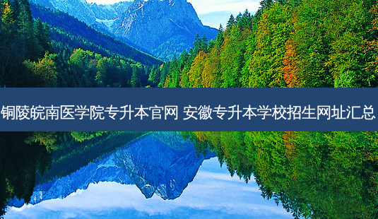铜陵皖南医学院专升本官网 安徽专升本学校招生网址汇总-第1张图片-天智网 铜陵皖南医学院专升本官网 安徽专升本学校招生网址汇总-第1张图片-天智网
