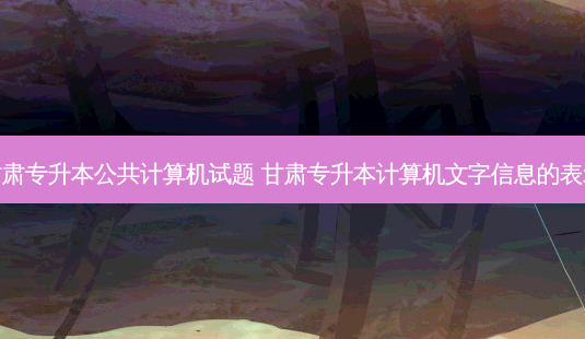 甘肃专升本公共计算机试题 甘肃专升本计算机文字信息的表示-第1张图片-天智网 甘肃专升本公共计算机试题 甘肃专升本计算机文字信息的表示-第1张图片-天智网