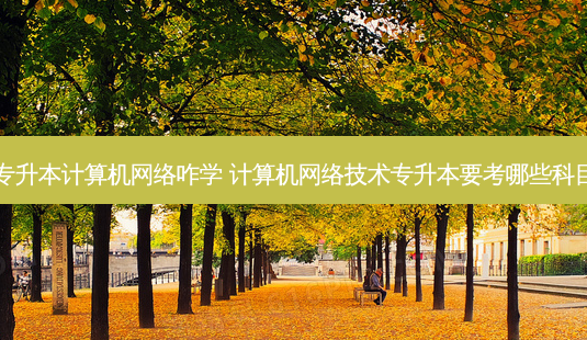 专升本计算机 *** 咋学 计算机 *** 技术专升本要考哪些科目-第1张图片-天智网 专升本计算机 *** 咋学 计算机 *** 技术专升本要考哪些科目-第1张图片-天智网