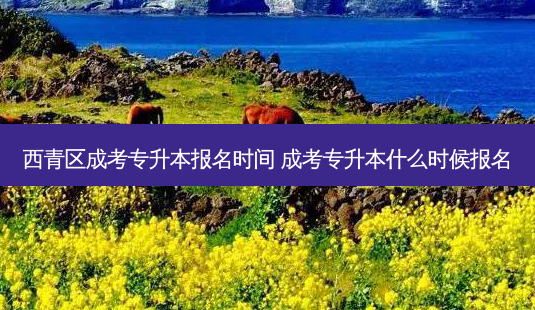西青区成考专升本报名时间 成考专升本什么时候报名-第1张图片-天智网 西青区成考专升本报名时间 成考专升本什么时候报名-第1张图片-天智网