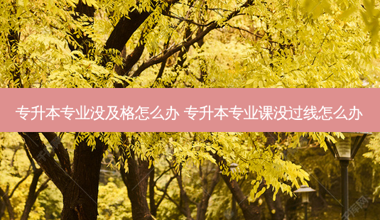 专升本专业没及格怎么办 专升本专业课没过线怎么办-第1张图片-天智网 专升本专业没及格怎么办 专升本专业课没过线怎么办-第1张图片-天智网