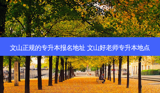 文山正规的专升本报名地址 文山好老师专升本地点-第1张图片-天智网 文山正规的专升本报名地址 文山好老师专升本地点-第1张图片-天智网