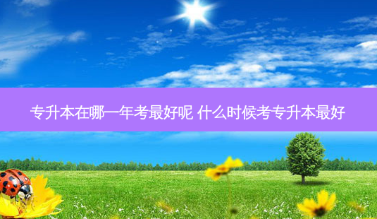 专升本在哪一年考 *** 好呢 什么时候考专升本 *** 好-第1张图片-天智网 专升本在哪一年考 *** 好呢 什么时候考专升本 *** 好-第1张图片-天智网