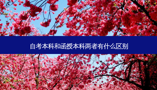 自考本科和函授本科两者有什么区别-第1张图片-天智网 自考本科和函授本科两者有什么区别-第1张图片-天智网