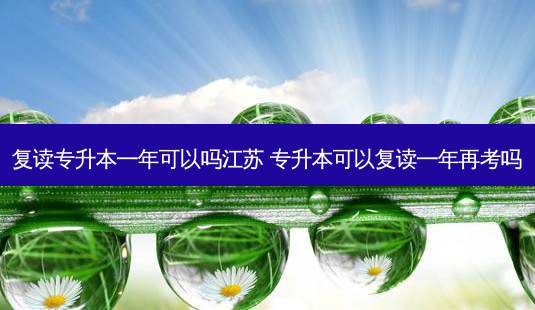 复读专升本一年可以吗江苏 专升本可以复读一年再考吗-第1张图片-天智网 复读专升本一年可以吗江苏 专升本可以复读一年再考吗-第1张图片-天智网