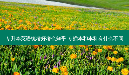 专升本英语统考好考么知乎 专插本和本科有什么不同-第1张图片-天智网 专升本英语统考好考么知乎 专插本和本科有什么不同-第1张图片-天智网