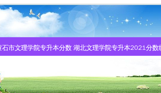 黄石市文理学院专升本分数 湖北文理学院专升本2021分数线-第1张图片-天智网 黄石市文理学院专升本分数 湖北文理学院专升本2021分数线-第1张图片-天智网
