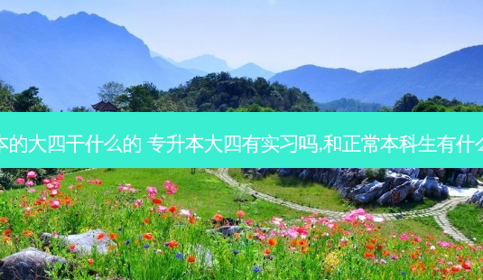 专升本的大四干什么的 专升本大四有实习吗,和正常本科生有什么区别-第1张图片-天智网 专升本的大四干什么的 专升本大四有实习吗,和正常本科生有什么区别-第1张图片-天智网