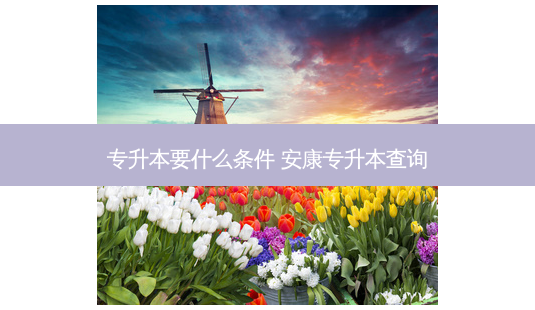 专升本要什么条件 安康专升本查询-第1张图片-天智网 专升本要什么条件 安康专升本查询-第1张图片-天智网