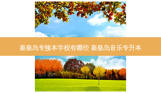 秦皇岛专接本学校有哪些 秦皇岛音乐专升本-第1张图片-天智网 秦皇岛专接本学校有哪些 秦皇岛音乐专升本-第1张图片-天智网