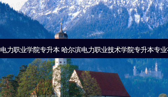 吉林省电力职业学院专升本 哈尔滨电力职业技术学院专升本专业有哪些-第1张图片-天智网 吉林省电力职业学院专升本 哈尔滨电力职业技术学院专升本专业有哪些-第1张图片-天智网