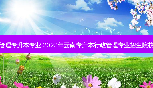 云南行政管理专升本专业 2023年云南专升本行政管理专业招生院校有哪几个-第1张图片-天智网 云南行政管理专升本专业 2023年云南专升本行政管理专业招生院校有哪几个-第1张图片-天智网