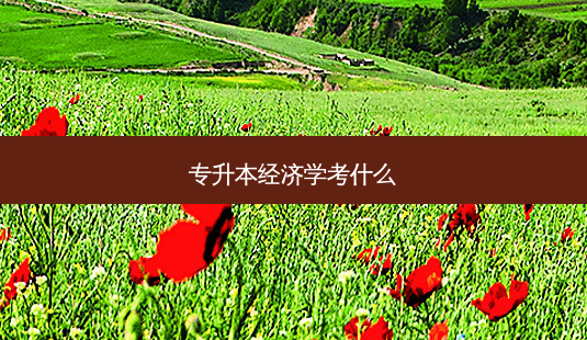 专升本经济学考什么-第1张图片-天智网 专升本经济学考什么-第1张图片-天智网