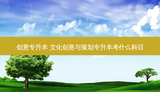 创意专升本 文化创意与策划专升本考什么科目-第1张图片-天智网 创意专升本 文化创意与策划专升本考什么科目-第1张图片-天智网