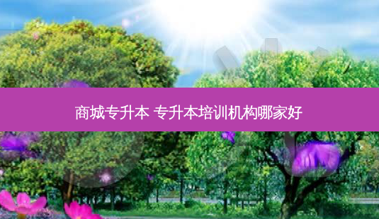 商城专升本 专升本培训机构哪家好-第1张图片-天智网 商城专升本 专升本培训机构哪家好-第1张图片-天智网