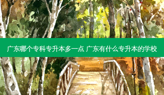 广东哪个专科专升本多一点 广东有什么专升本的学校-第1张图片-天智网 广东哪个专科专升本多一点 广东有什么专升本的学校-第1张图片-天智网