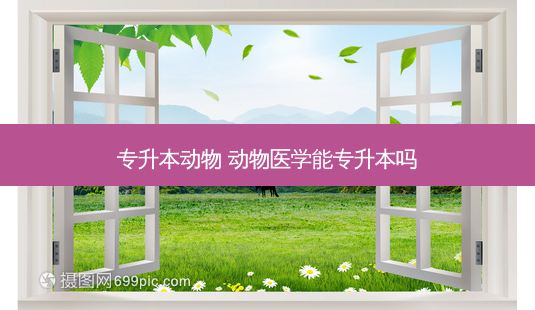 专升本动物 动物医学能专升本吗-第1张图片-天智网 专升本动物 动物医学能专升本吗-第1张图片-天智网