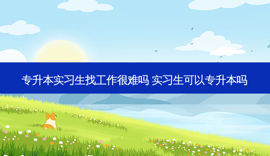 专升本实习生找工作很难吗 实习生可以专升本吗-第1张图片-天智网 专升本实习生找工作很难吗 实习生可以专升本吗-第1张图片-天智网