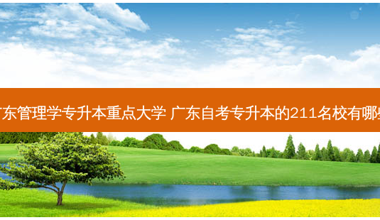 广东管理学专升本重点大学 广东自考专升本的211名校有哪些-第1张图片-天智网 广东管理学专升本重点大学 广东自考专升本的211名校有哪些-第1张图片-天智网