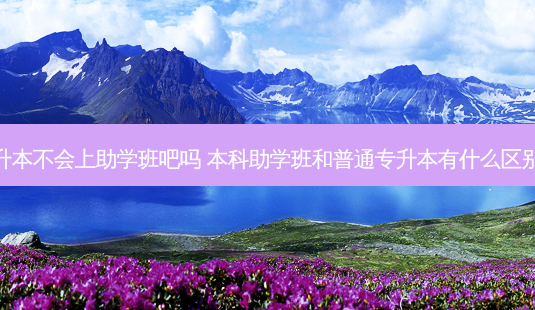 专升本不会上助学班吧吗 本科助学班和普通专升本有什么区别吗-第1张图片-天智网 专升本不会上助学班吧吗 本科助学班和普通专升本有什么区别吗-第1张图片-天智网