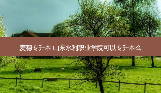 麦穗专升本 山东水利职业学院可以专升本么-第1张图片-天智网 麦穗专升本 山东水利职业学院可以专升本么-第1张图片-天智网