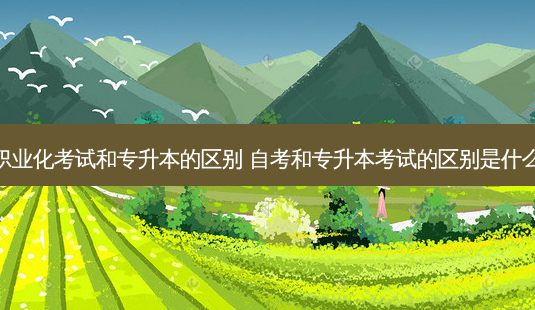 职业化考试和专升本的区别 自考和专升本考试的区别是什么-第1张图片-天智网 职业化考试和专升本的区别 自考和专升本考试的区别是什么-第1张图片-天智网