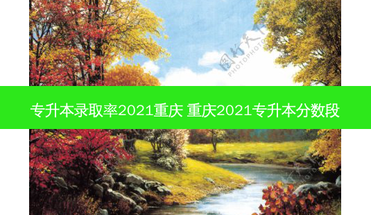专升本录取率2021重庆 重庆2021专升本分数段-第1张图片-天智网 专升本录取率2021重庆 重庆2021专升本分数段-第1张图片-天智网