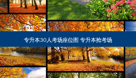 专升本30人考场座位图 专升本抢考场-第1张图片-天智网 专升本30人考场座位图 专升本抢考场-第1张图片-天智网
