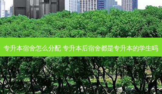 专升本宿舍怎么分配 专升本后宿舍都是专升本的学生吗-第1张图片-天智网 专升本宿舍怎么分配 专升本后宿舍都是专升本的学生吗-第1张图片-天智网