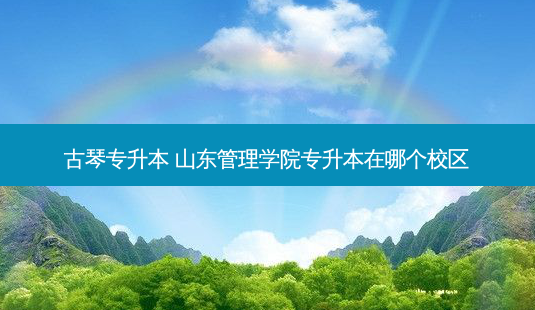 古琴专升本 山东管理学院专升本在哪个校区-第1张图片-天智网 古琴专升本 山东管理学院专升本在哪个校区-第1张图片-天智网