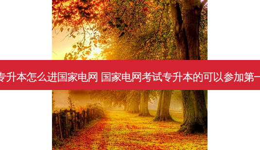 大专专升本怎么进国家电网 国家电网考试专升本的可以参加之一批吗-第1张图片-天智网 大专专升本怎么进国家电网 国家电网考试专升本的可以参加之一批吗-第1张图片-天智网