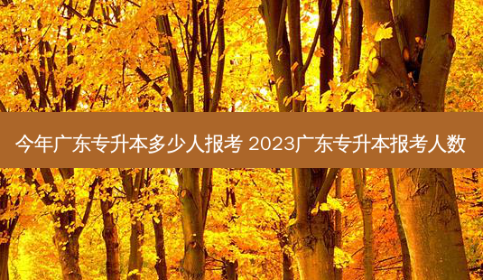 今年广东专升本多少人报考 2023广东专升本报考人数-第1张图片-天智网 今年广东专升本多少人报考 2023广东专升本报考人数-第1张图片-天智网