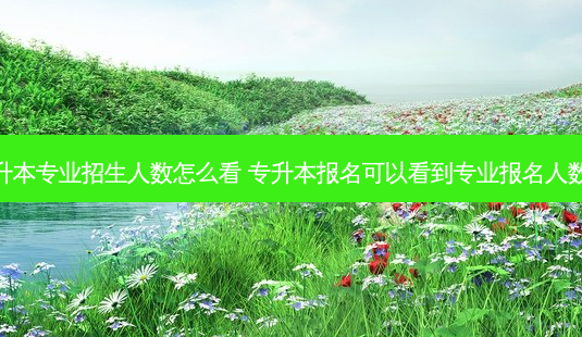专升本专业招生人数怎么看 专升本报名可以看到专业报名人数吗-第1张图片-天智网 专升本专业招生人数怎么看 专升本报名可以看到专业报名人数吗-第1张图片-天智网