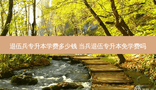 退伍兵专升本学费多少钱 当兵退伍专升本免学费吗-第1张图片-天智网 退伍兵专升本学费多少钱 当兵退伍专升本免学费吗-第1张图片-天智网