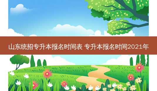 山东统招专升本报名时间表 专升本报名时间2021年-第1张图片-天智网 山东统招专升本报名时间表 专升本报名时间2021年-第1张图片-天智网