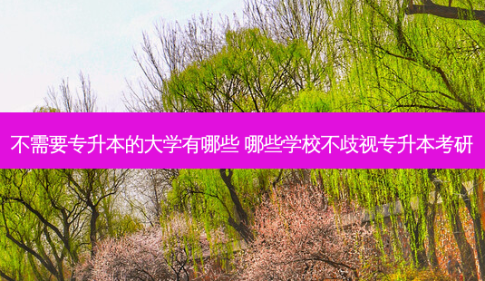 不需要专升本的大学有哪些 哪些学校不歧视专升本考研-第1张图片-天智网 不需要专升本的大学有哪些 哪些学校不歧视专升本考研-第1张图片-天智网