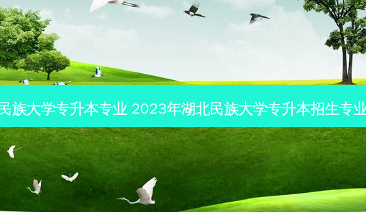湖北各民族大学专升本专业 2023年湖北民族大学专升本招生专业对照表-第1张图片-天智网 湖北各民族大学专升本专业 2023年湖北民族大学专升本招生专业对照表-第1张图片-天智网