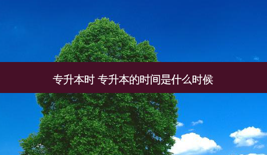 专升本时 专升本的时间是什么时候-第1张图片-天智网 专升本时 专升本的时间是什么时候-第1张图片-天智网