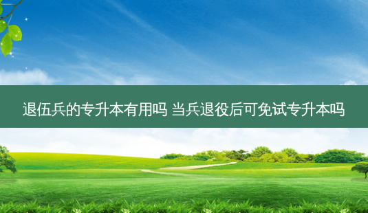 退伍兵的专升本有用吗 当兵退役后可免试专升本吗-第1张图片-天智网 退伍兵的专升本有用吗 当兵退役后可免试专升本吗-第1张图片-天智网