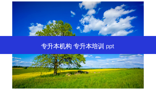 专升本机构 专升本培训 ppt-第1张图片-天智网 专升本机构 专升本培训 ppt-第1张图片-天智网