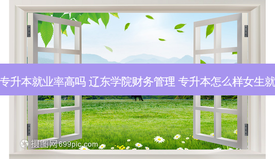 辽东学院专升本就业率高吗 辽东学院财务管理 专升本怎么样女生就业怎么样-第1张图片-天智网 辽东学院专升本就业率高吗 辽东学院财务管理 专升本怎么样女生就业怎么样-第1张图片-天智网