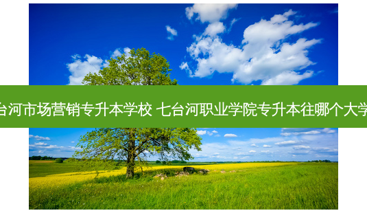 七台河市场营销专升本学校 七台河职业学院专升本往哪个大学考-第1张图片-天智网 七台河市场营销专升本学校 七台河职业学院专升本往哪个大学考-第1张图片-天智网