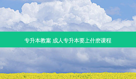 专升本教案 成人专升本要上什麽课程-第1张图片-天智网 专升本教案 成人专升本要上什麽课程-第1张图片-天智网