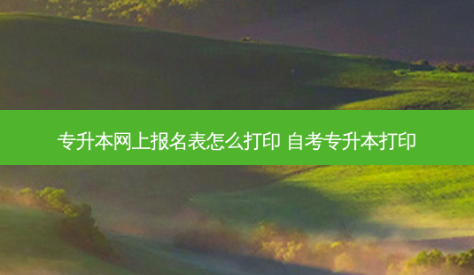 专升本网上报名表怎么打印 自考专升本打印-第1张图片-天智网 专升本网上报名表怎么打印 自考专升本打印-第1张图片-天智网